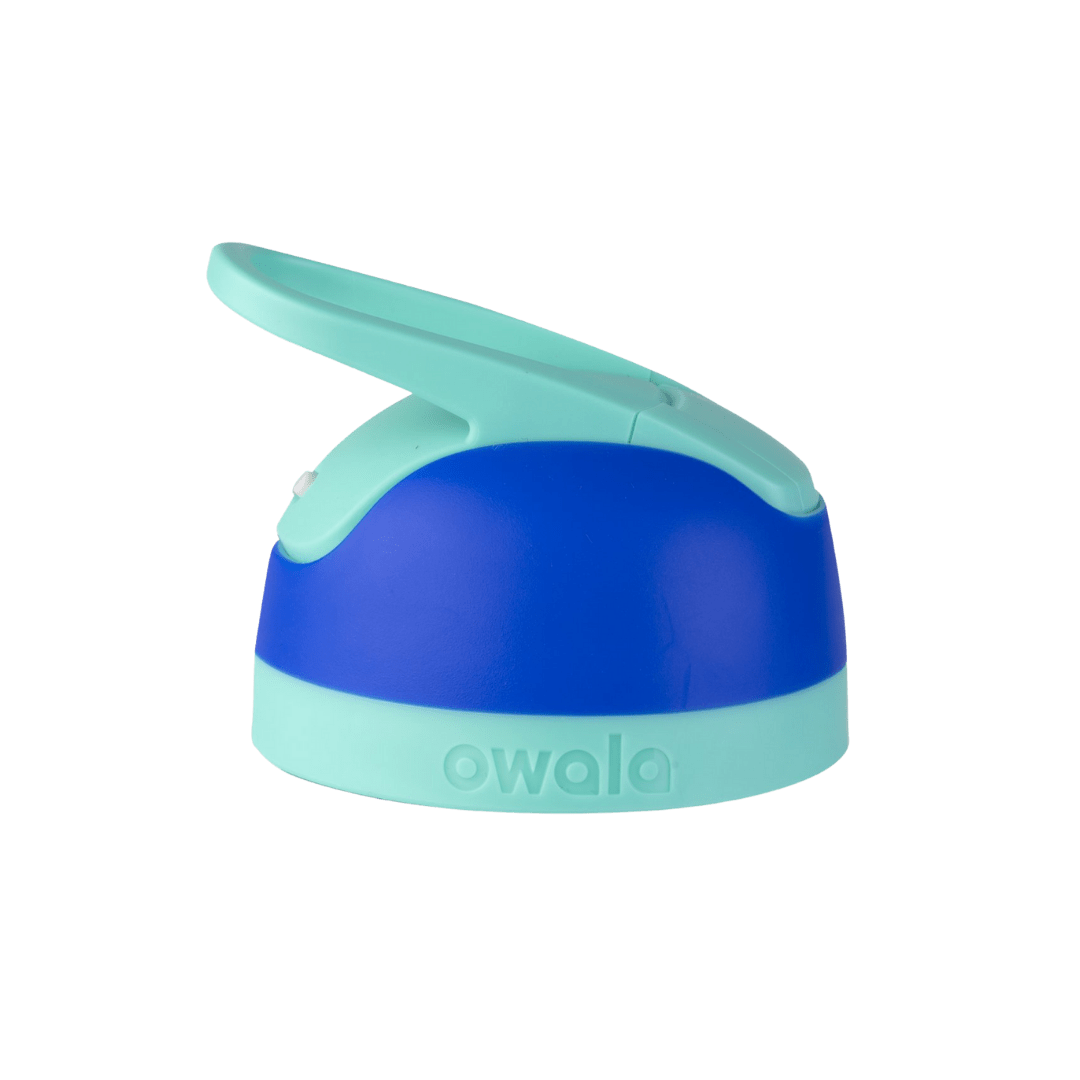 Replacement Lids 41EE