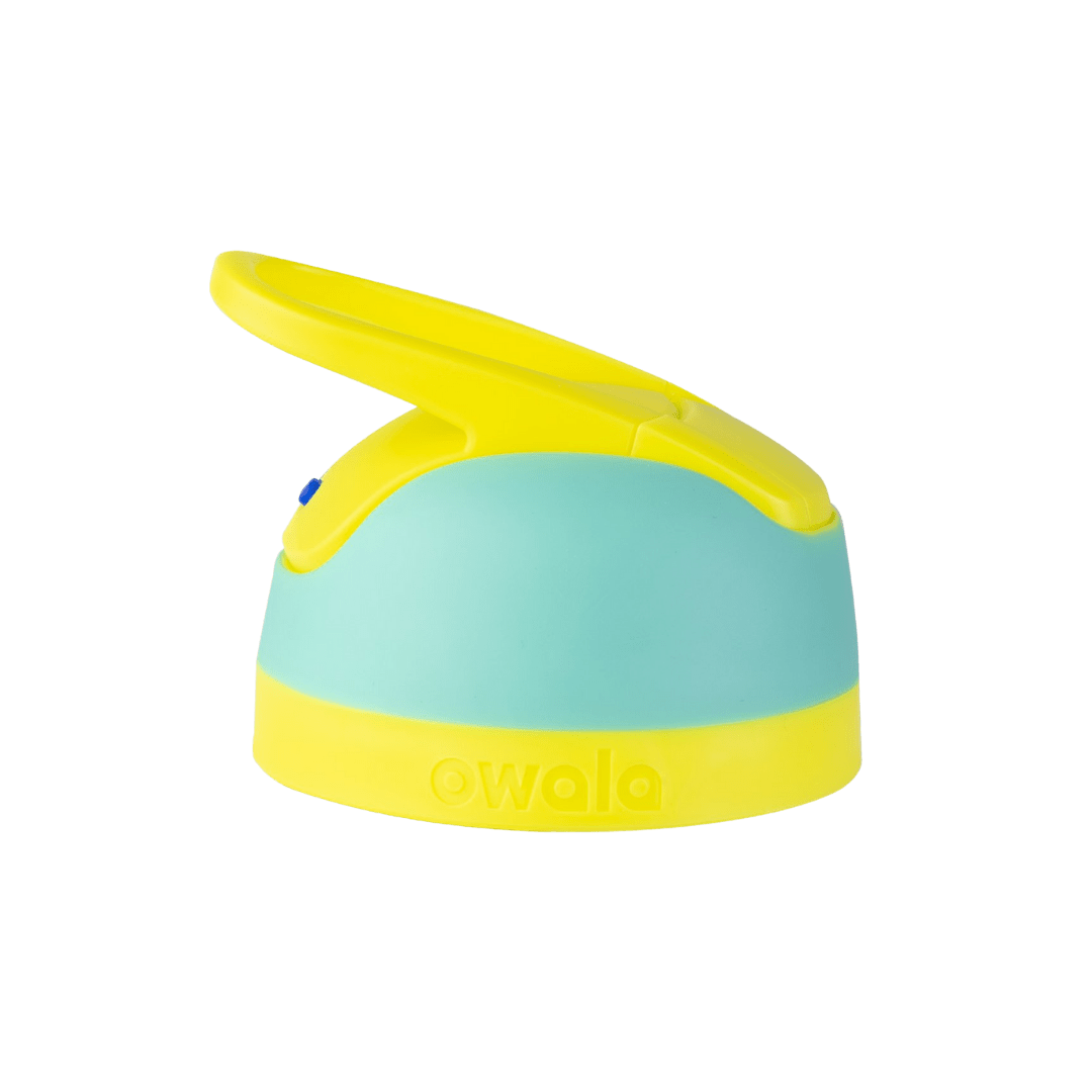 Replacement Lids 41EE