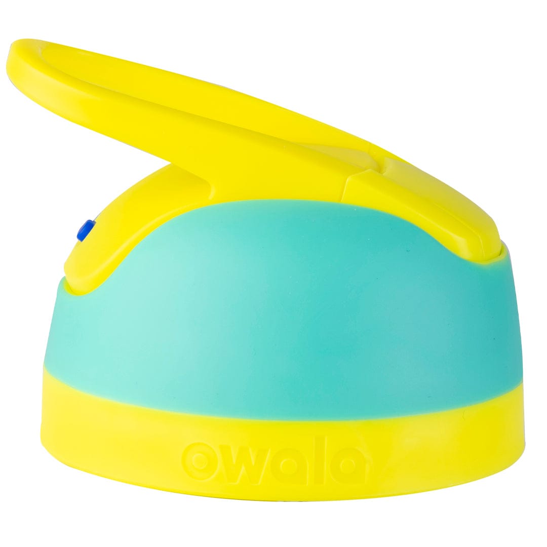Replacement Lids 41EE