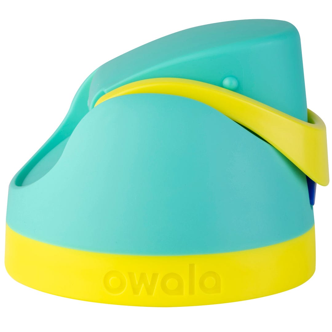 Replacement Lids 41EE