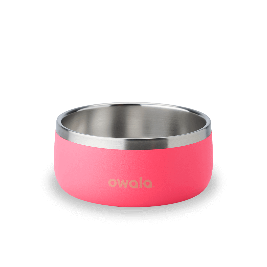 Pet Bowl O28H
